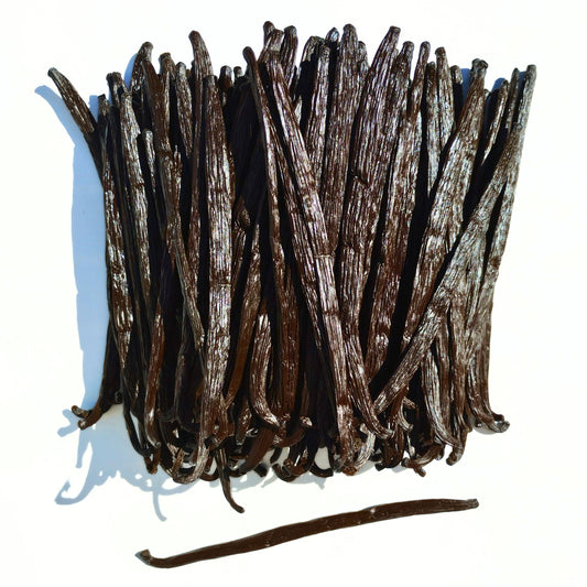 VRAC/CHR/HORECA - Planifolia Vanilleschoten - Uganda: 250 g (luftdichte Beutel)