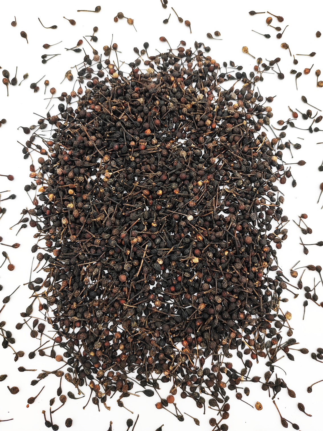 Voatsiperifery Wildpfeffer - Madagaskar