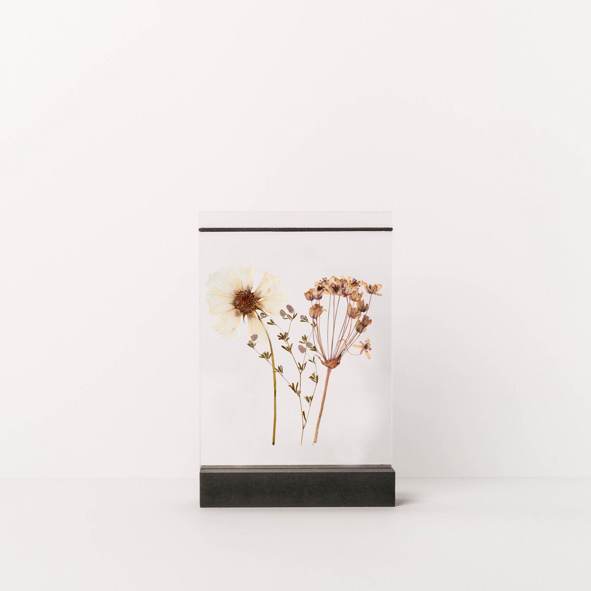Dried Flower Holder